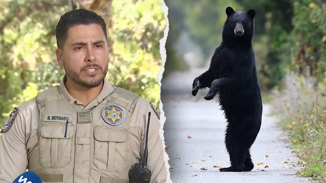 Florida man and his dog were killed in the first deadly black bear attack in state history