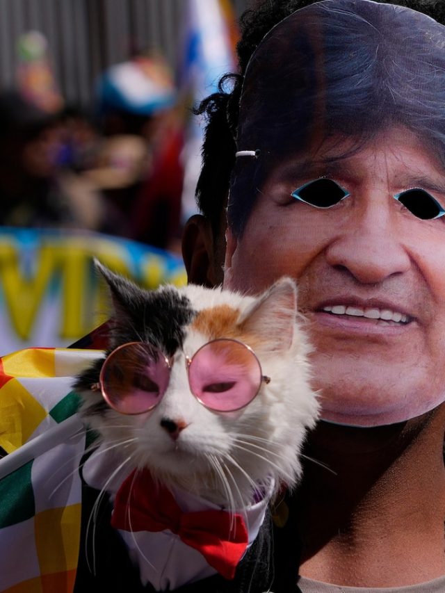 Former Bolivian leader Morales clashes with police supporters to secure his campaign