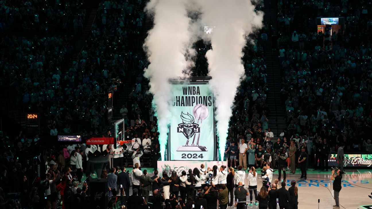 Freedom Promotion '24 WNBA Championship Banner