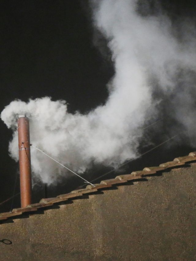 From “conclusion” to “white smoke”, it is a glossary of terms used in the Pope's transition