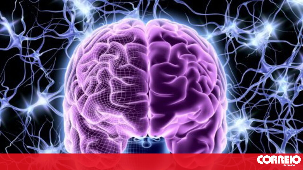 Fundada na Espanha, a empresa usa inteligência artificial para detectar riscos reais de derrame – tecnologia