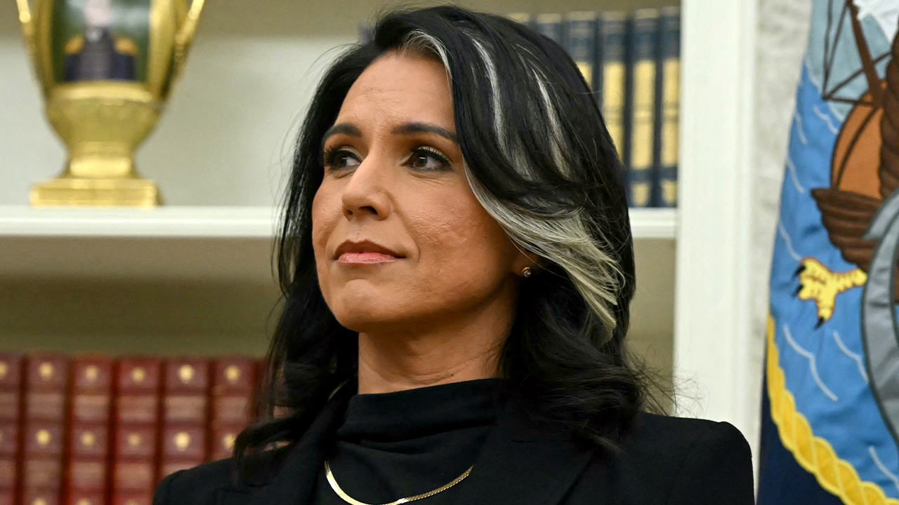 Gabbard slams “politically motivated” surveillance to “terrorize” her efforts