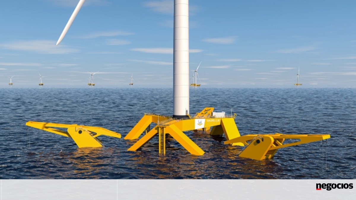 Gazelle Wind Power protege 2 milhões de investimentos do Development Bank – Energy Investments
