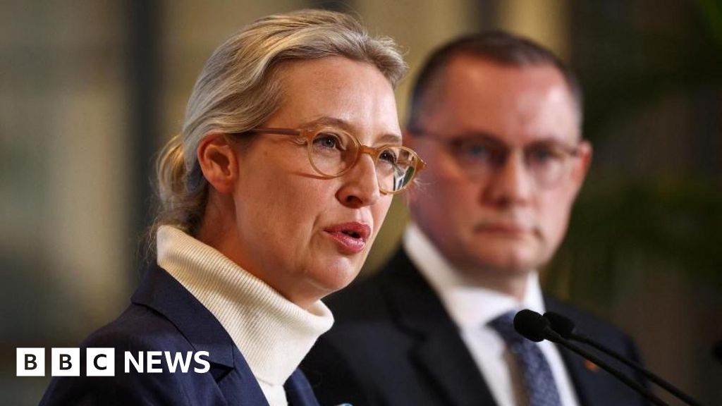 Germany defends extremist classification after Rubio violently “disguises tyranny”
