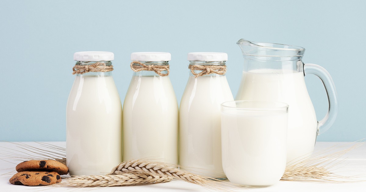 Gordura, magra, vegetais, sem lactose. Existe alguma vantagem em consumir esse leite? – peso e nutrição