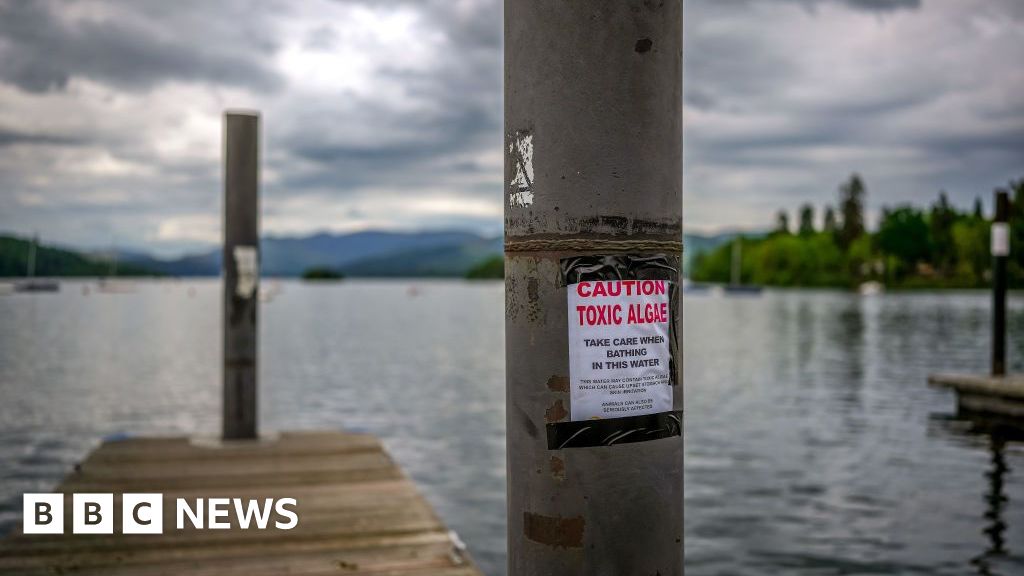 Government says water companies have increased surveys