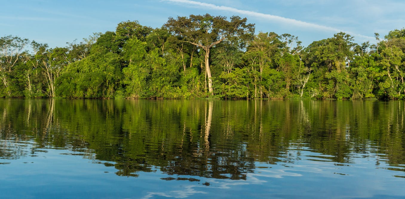 Governor is leading the world's fight against climate change and deforestation, filling the gap left by the president