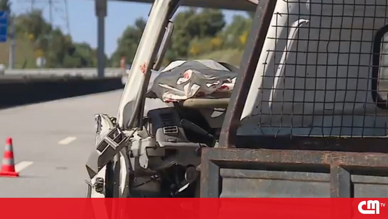 Gravemente ferido em colisão entre Van e Truck of Santa Maria da Feira's A32 – Vídeo