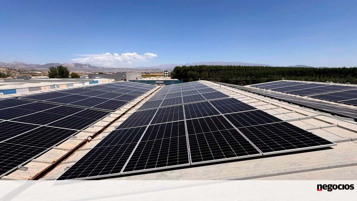 Greenvolt desenvolve seis projetos solares em Portugal e Espanha – Energia