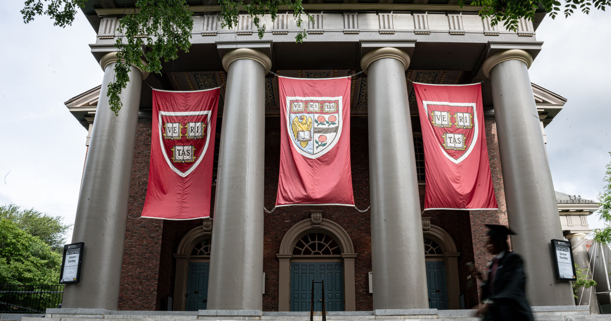 Harvard University professor Francesca Gino in a data fraud investigation