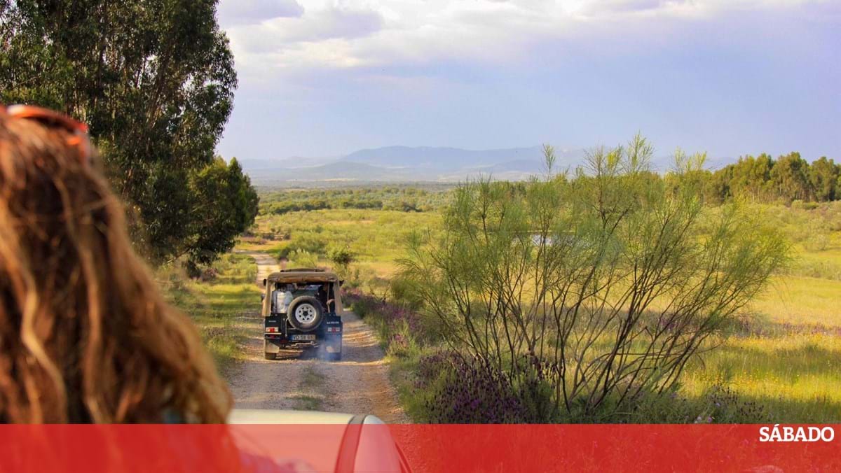 Herdade Dosabegães-Natural Beirã Publishing House em Quinta de Charme