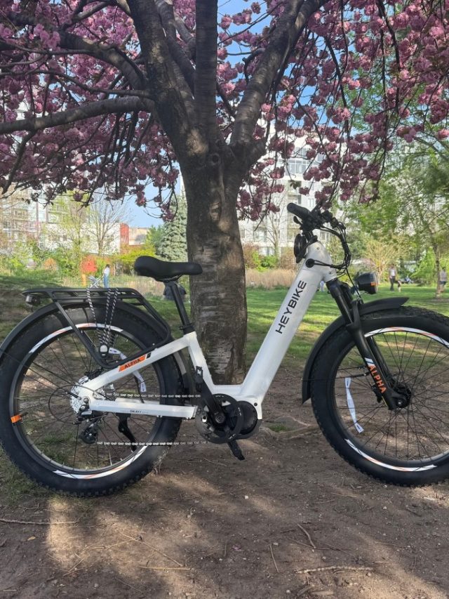 Heybike's Alpha Step-Though E-Bike is an affordable all-terrain dream boat