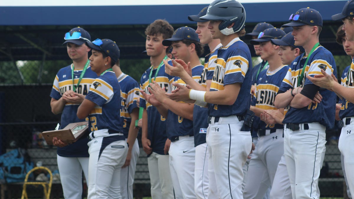 Hillsdale drops to Division 6 Baseball Final
