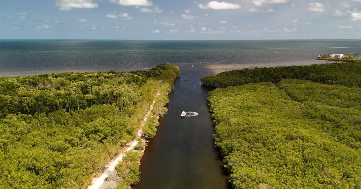 How Florida cities deal with human smuggling