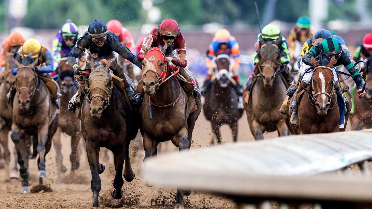 How an organization plans to improve horse racing safety