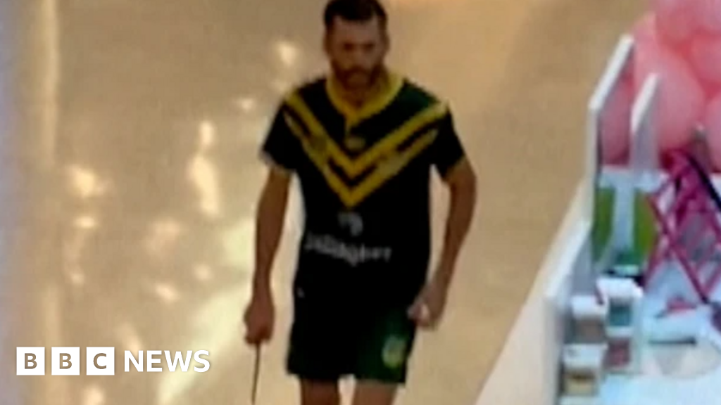 How killer Joel Cauchi slips through cracks