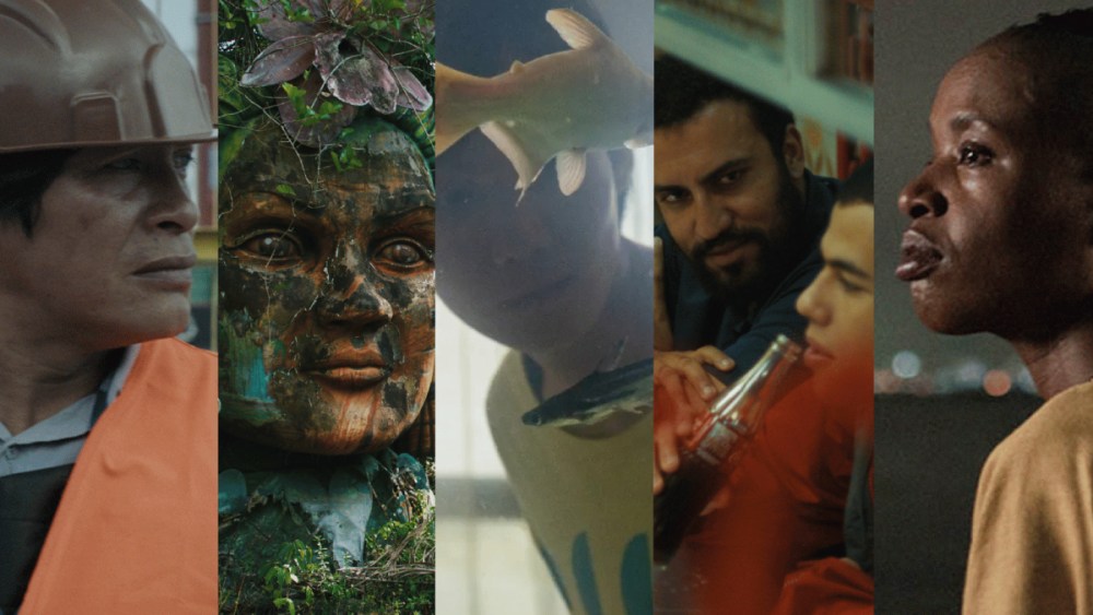 Hubert Bals Fund launches HBF+ Brazilian Spcine, Riofilme, Projeto Paradiso