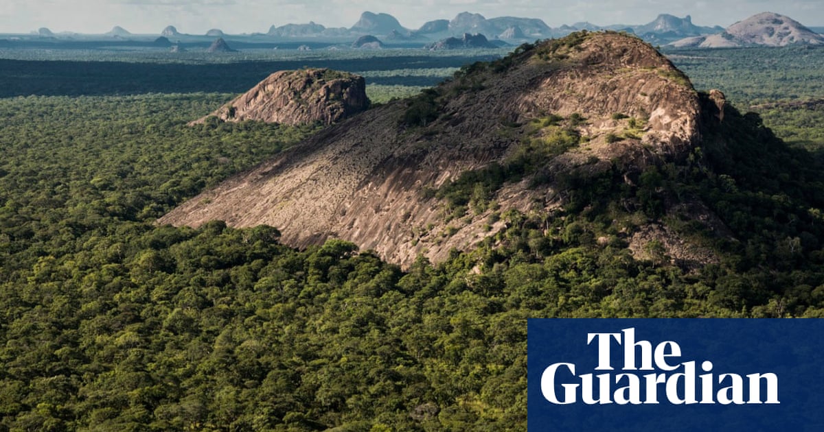 ISIS and militants die in 'brutal' attack on Mozambique' wildlife reserves | Global Development