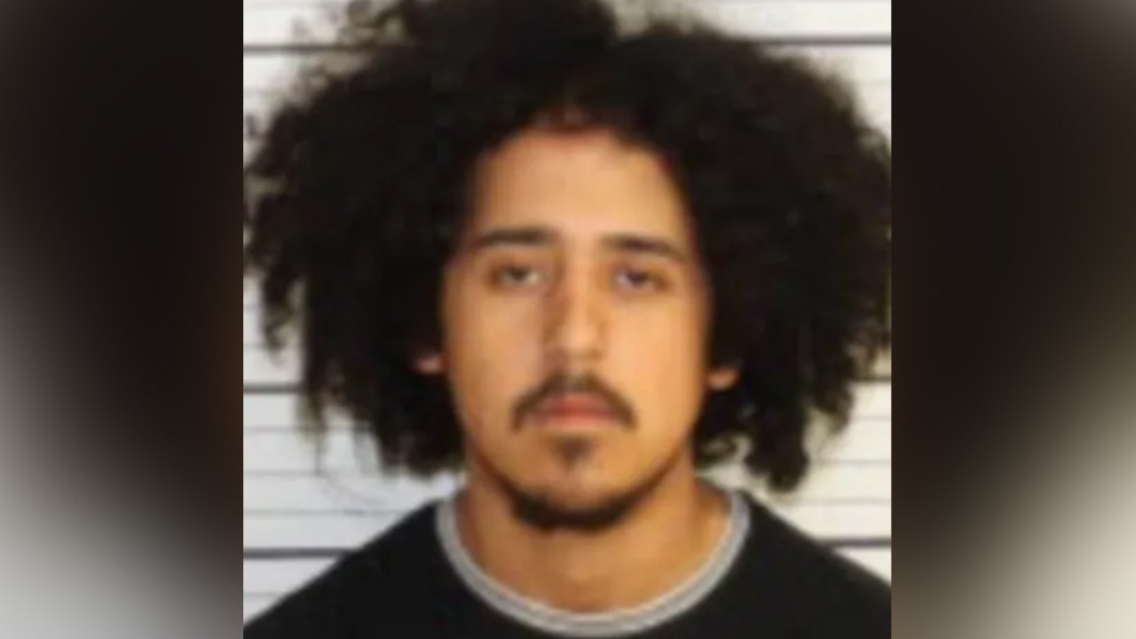 Ice Document Detention against Illegal Foreigner, including Attempted Murder