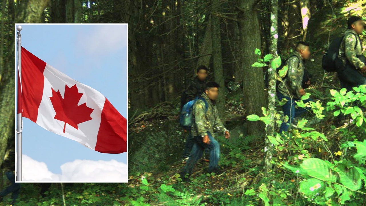 Illegal Immigrants accused of smuggling aliens from Canada into our illegal immigrants