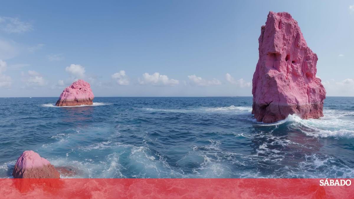 Imagem do projeto de Portugal “Paradise. Hoje” para a Bienal de Veneza – Arte