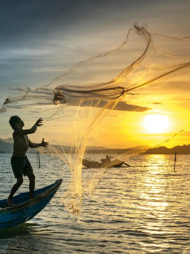Imagens não publicadas mostram os efeitos destrutivos da pesca de arrasto