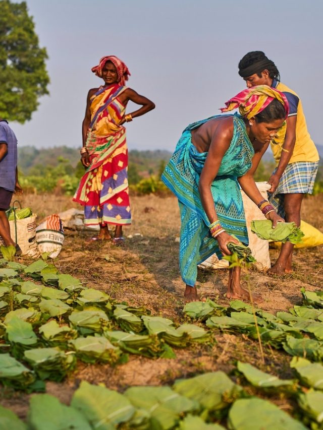 In India, indigenous women and their “dream map” try to protect land from climate change