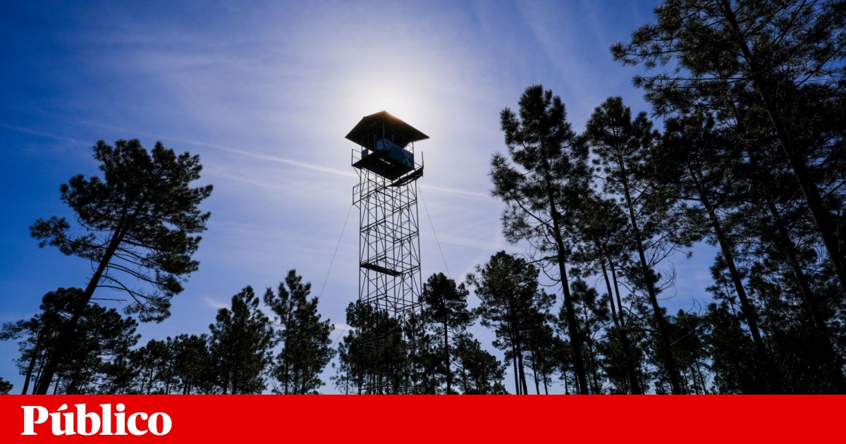 Incêndio: o GNR deteve 18 pessoas após o fortalecimento da vigilância florestal | Fogo