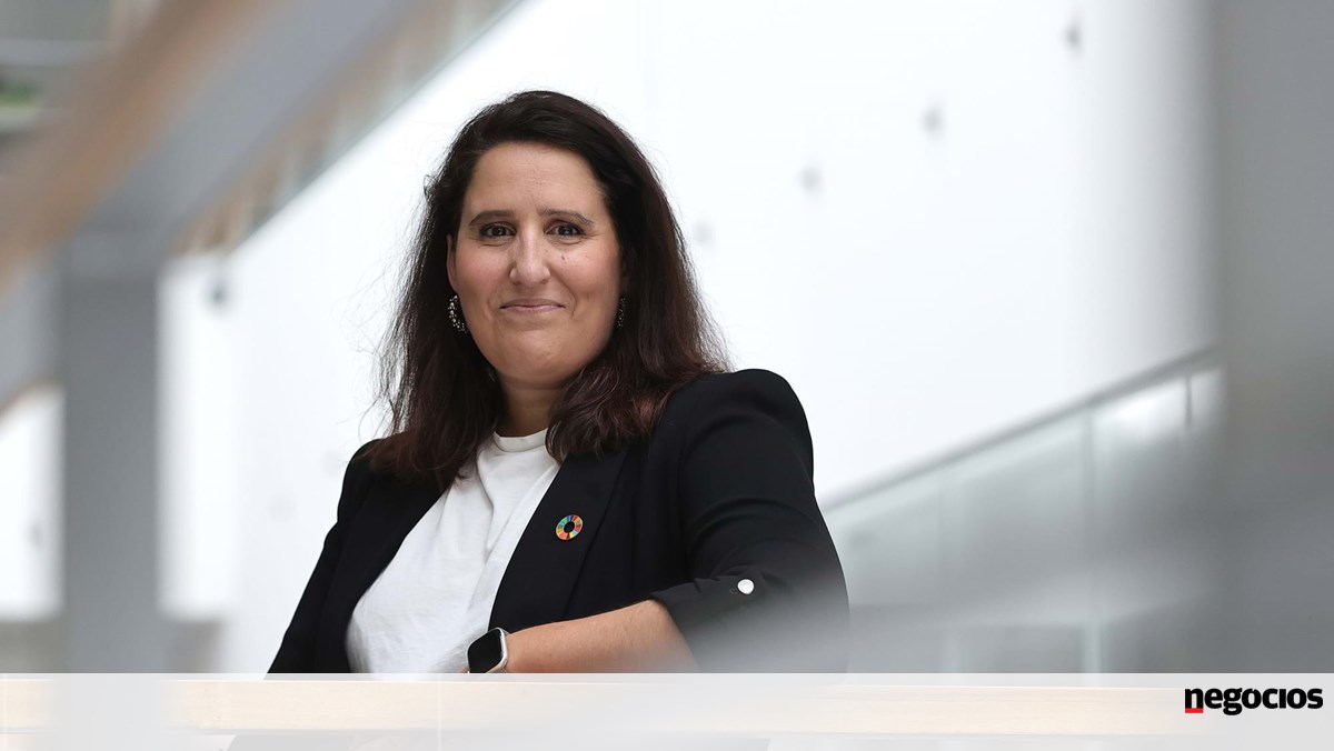 Inês dos Santos Costa: “As empresas que dependem de materiais importados podem ter problemas” – sustentabilidade