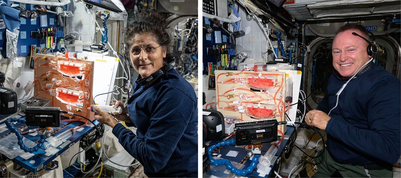 Insufficient water pipes required for plants to water in space