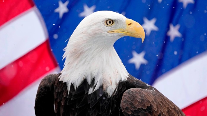 Investors ask “Next” With the hot breakthrough in the United States