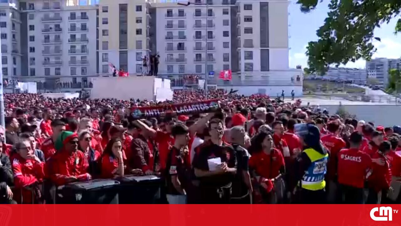 “Isso faz algumas mudanças”: 11 reações de apoiadores para benfica – vídeo
