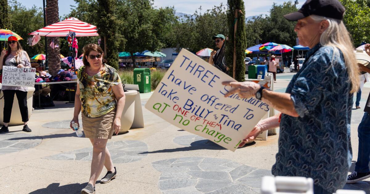 Judge denies emergency motion to stop transfers of Billy and Tina elephant