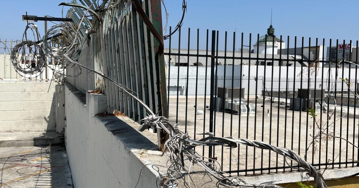 LA Doctor defends authorities, speaking to the rooftop homeless camp