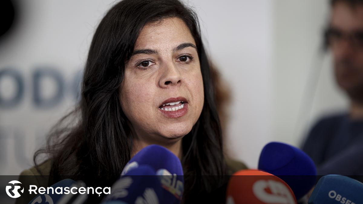 Legislação: Pan promete pagar uma licença parental de 6 meses na próxima legislatura