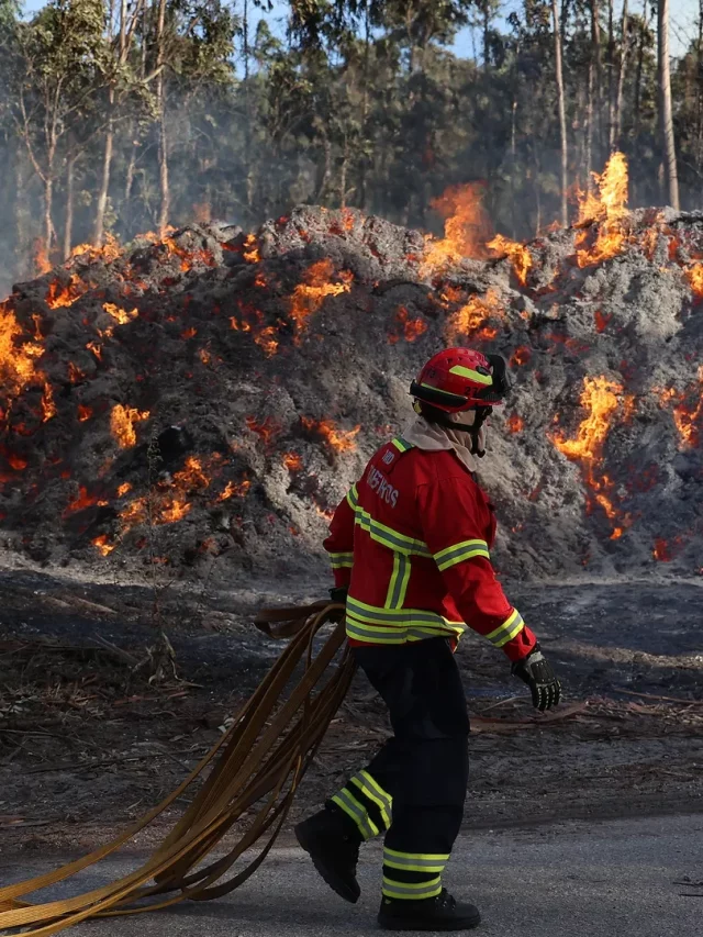 Leiria terá 471 operações em tempos críticos