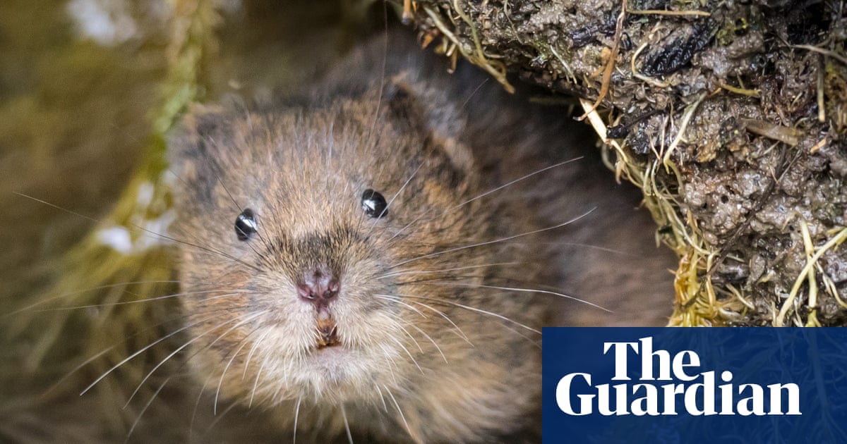 Less than 1% of the UK's biosecurity budget is to deal with invasive species. Invasive Species