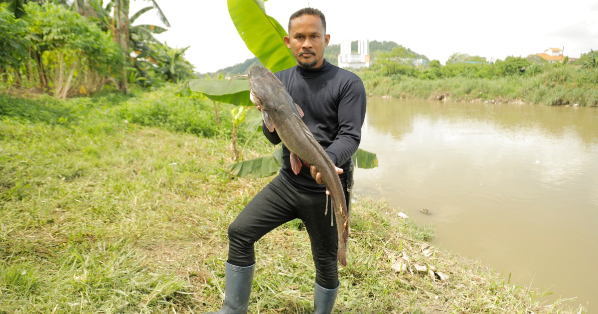 Malaysia's “hunter” targets invasive species, one-time capture | Environmental News
