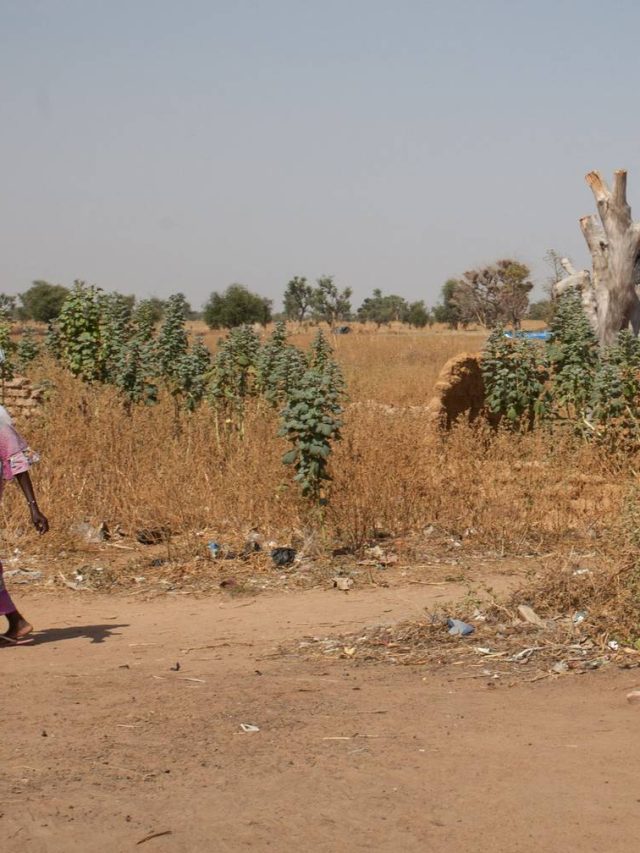 Mali: Exército acusado de matar e enterrar pelo menos 20 civis em vala comum