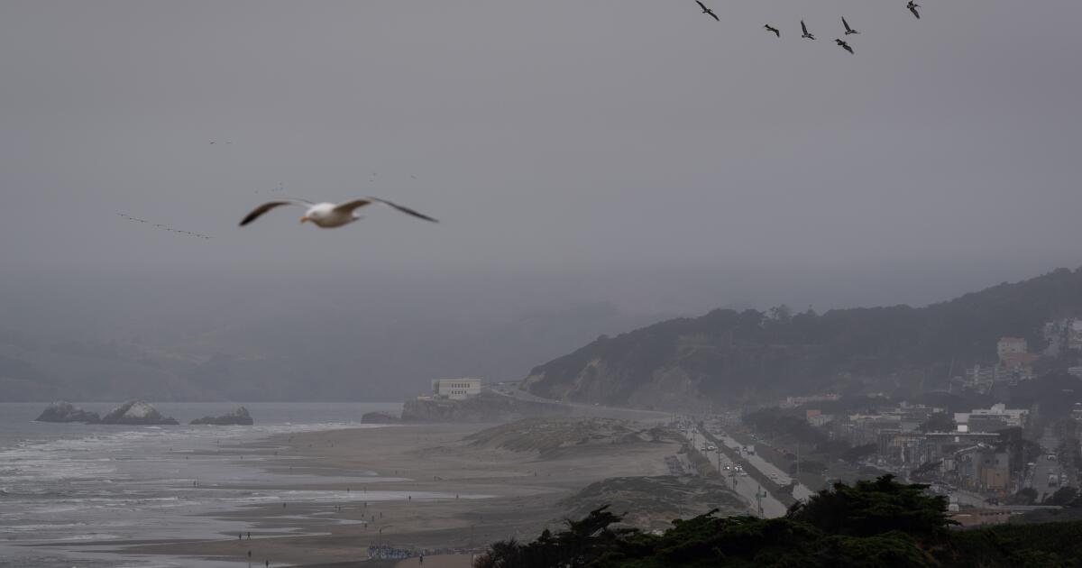 Man dies in an attempt to rescue his dog at the deadly Northern California beach