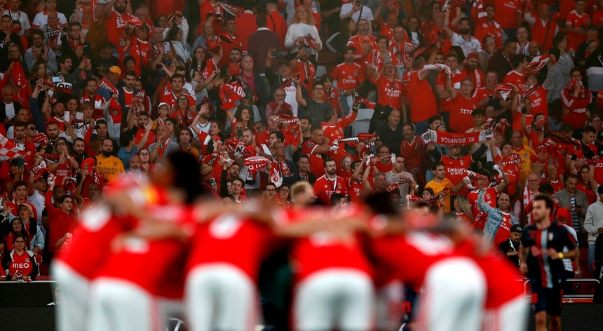 Marco Galinha remove a candidatura presidencial do Benfica