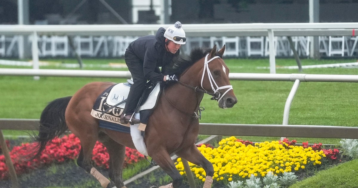 Meet Preakness bets in 2025