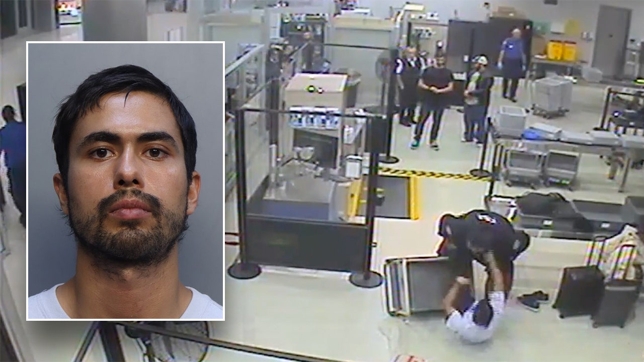 Midway chaos in Canadian man leads federal charges of airport attack