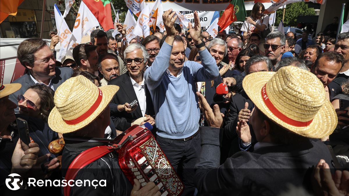 Montenegro observa que apenas a publicidade é útil para quem está cansado de eleições