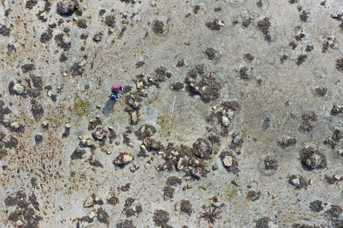 Mysterious Stone Circle revela migração perigosa para o norte da Escócia 11.000 anos atrás