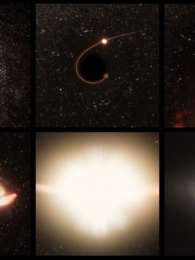 NASA's Hubble Pinpoints roam the huge black hole