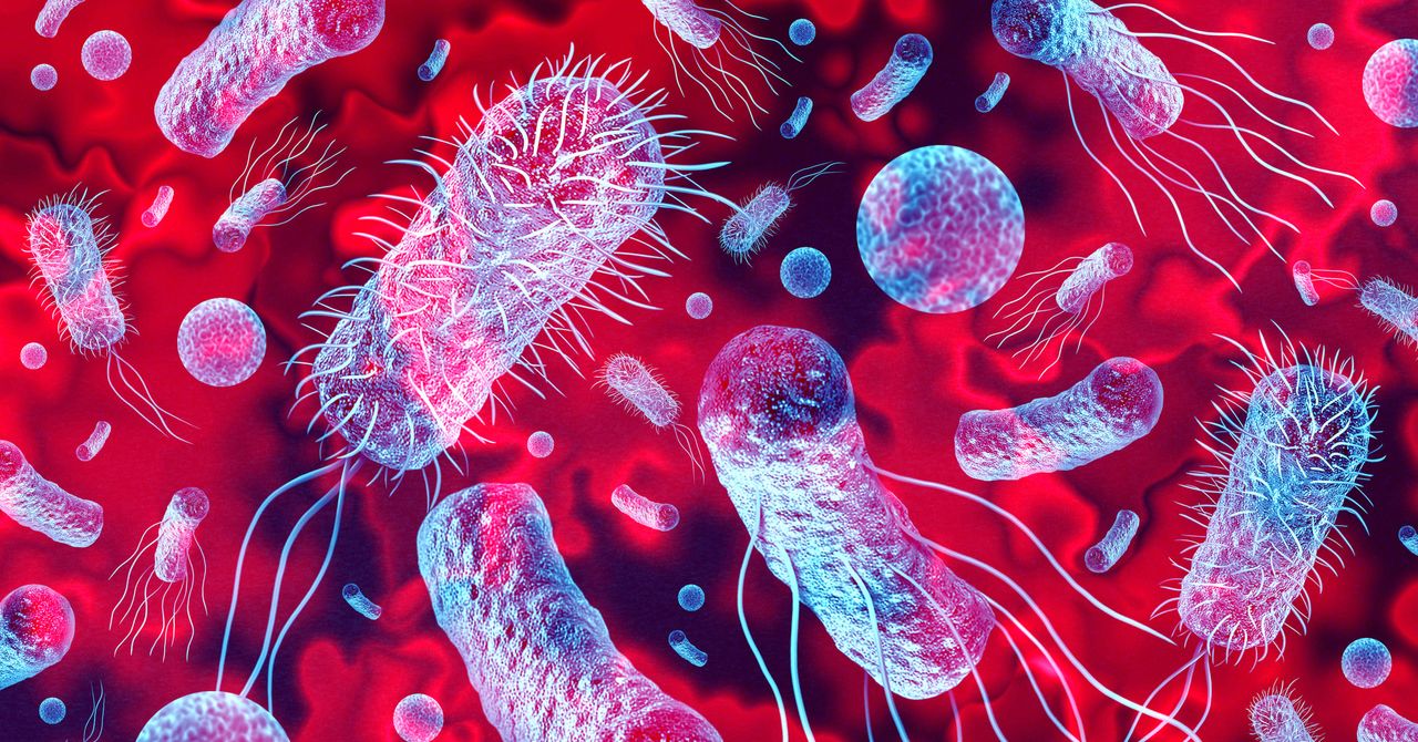 New bacteria found in China's space station