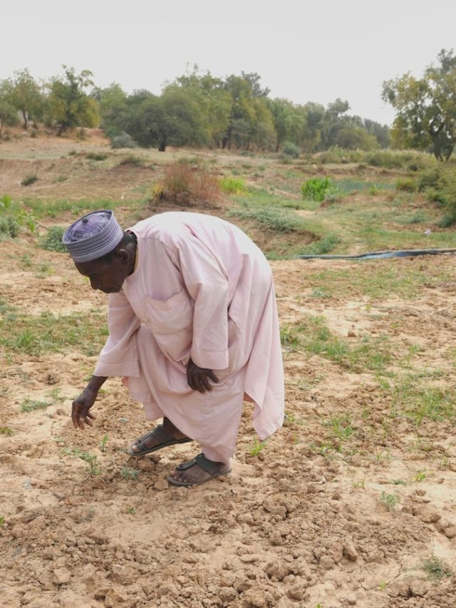 Nigeria has food security issues because crops are hard to find