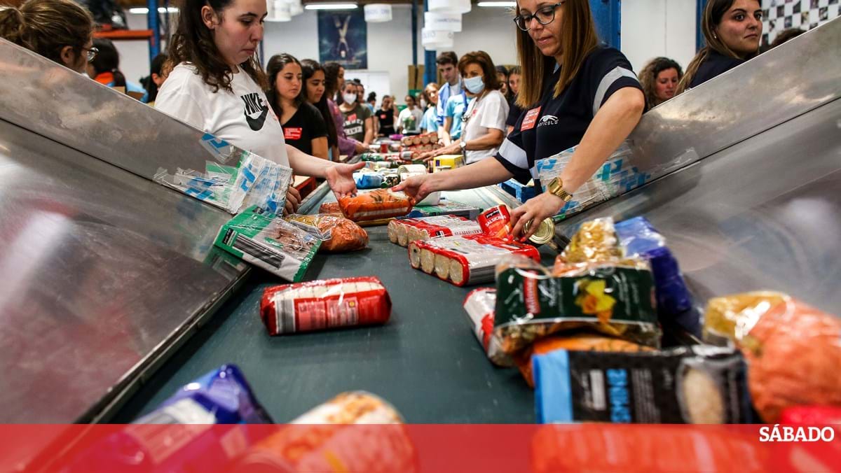 O Banco de Alimentos começa nos supermercados hoje – Vida