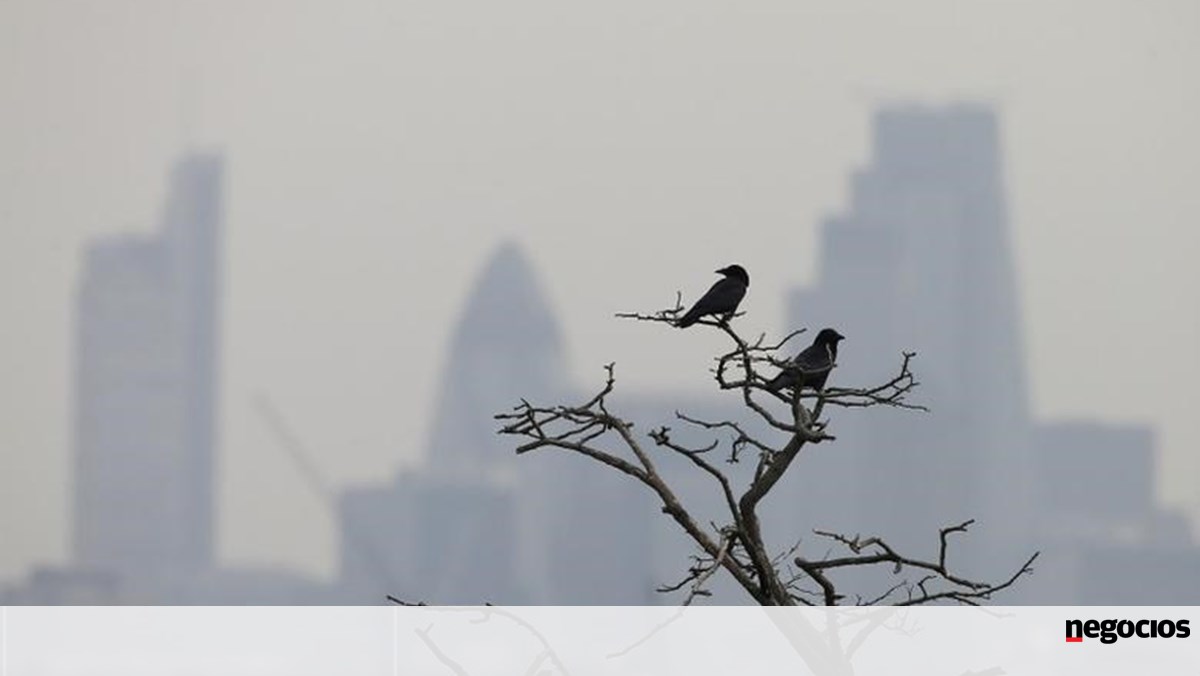 O Google avança na luta de novas pessoas com novas parcerias globais – Ambiente